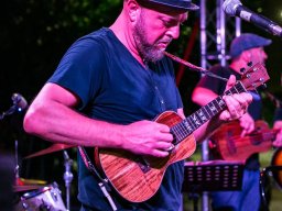 ukulele (7)